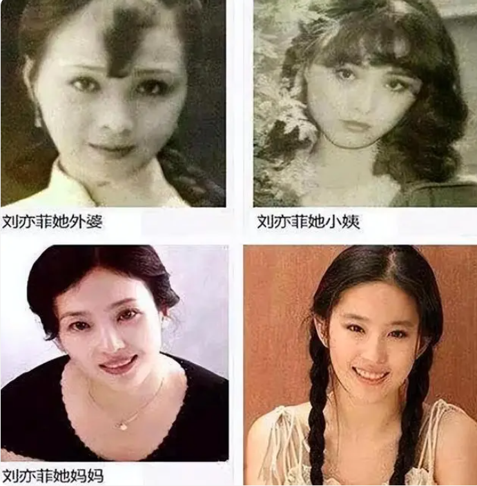 刘亦菲母亲刘晓莉:长得比女儿更美,两婚两离,65岁单身活得清醒