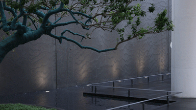 引一城峯层所向!它,做对了什么?