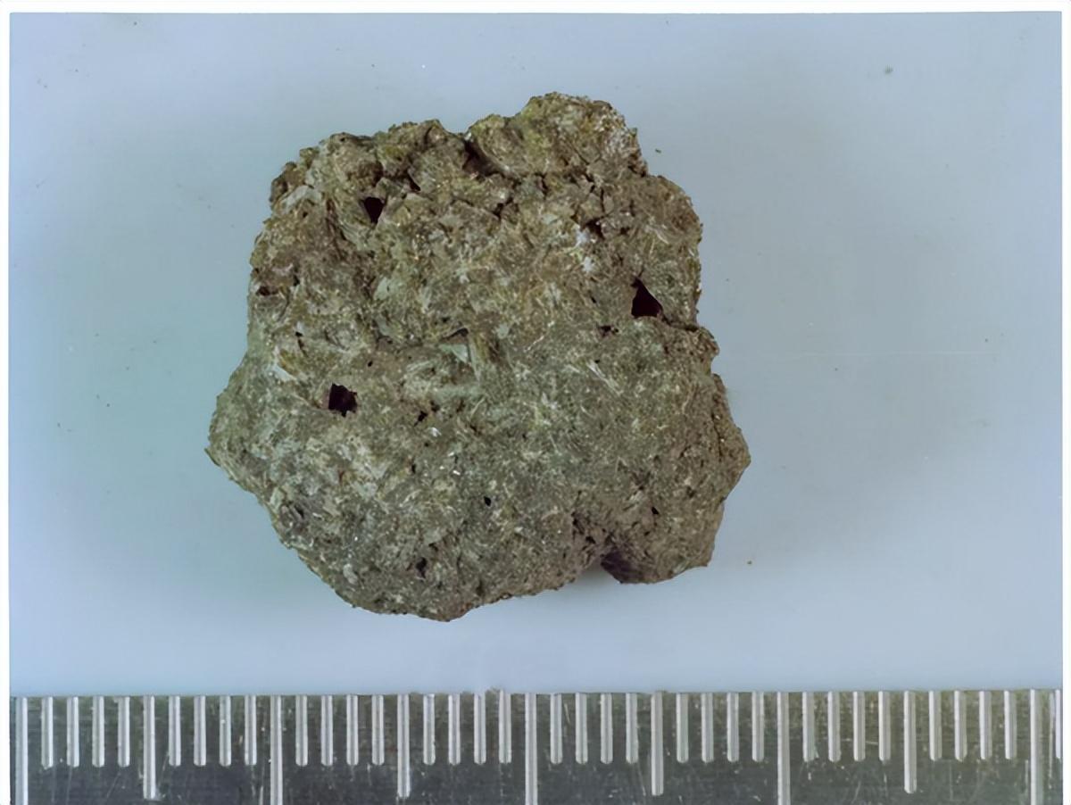 美国曾送出去的月岩居然被证实是假货,荷兰网友:这玩笑可开大了