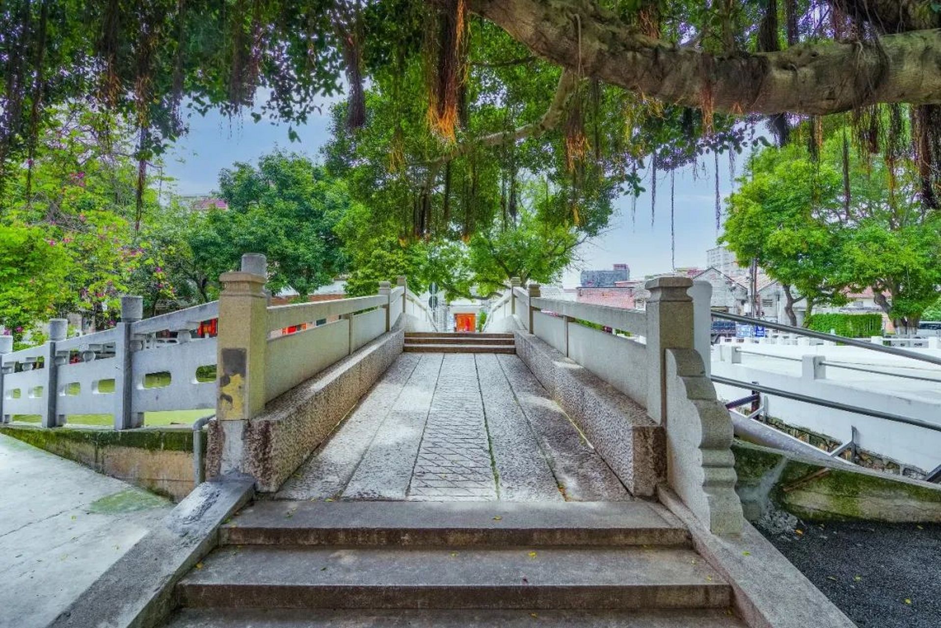 不如在佛山逛逛这个人少,安静,好拍的岭南水乡吧!