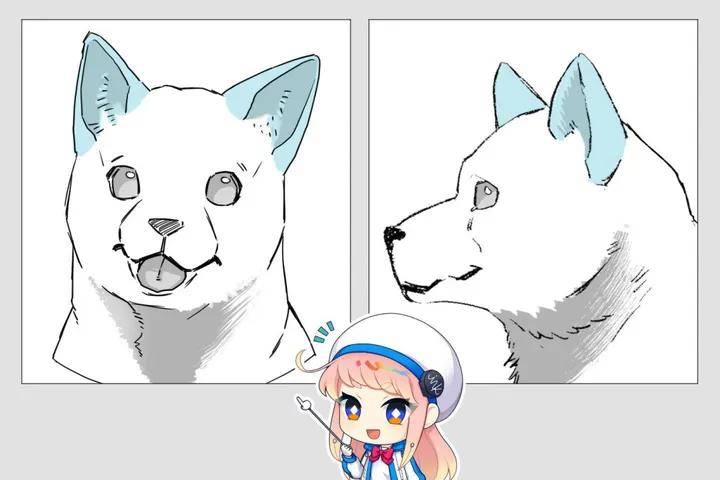 绘屏 教你如何画好狗的身体和脸!