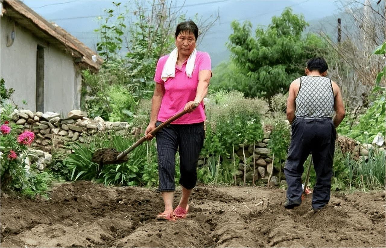 86岁的父亲退休金每月5000元,我妈总说父亲的工资太高了