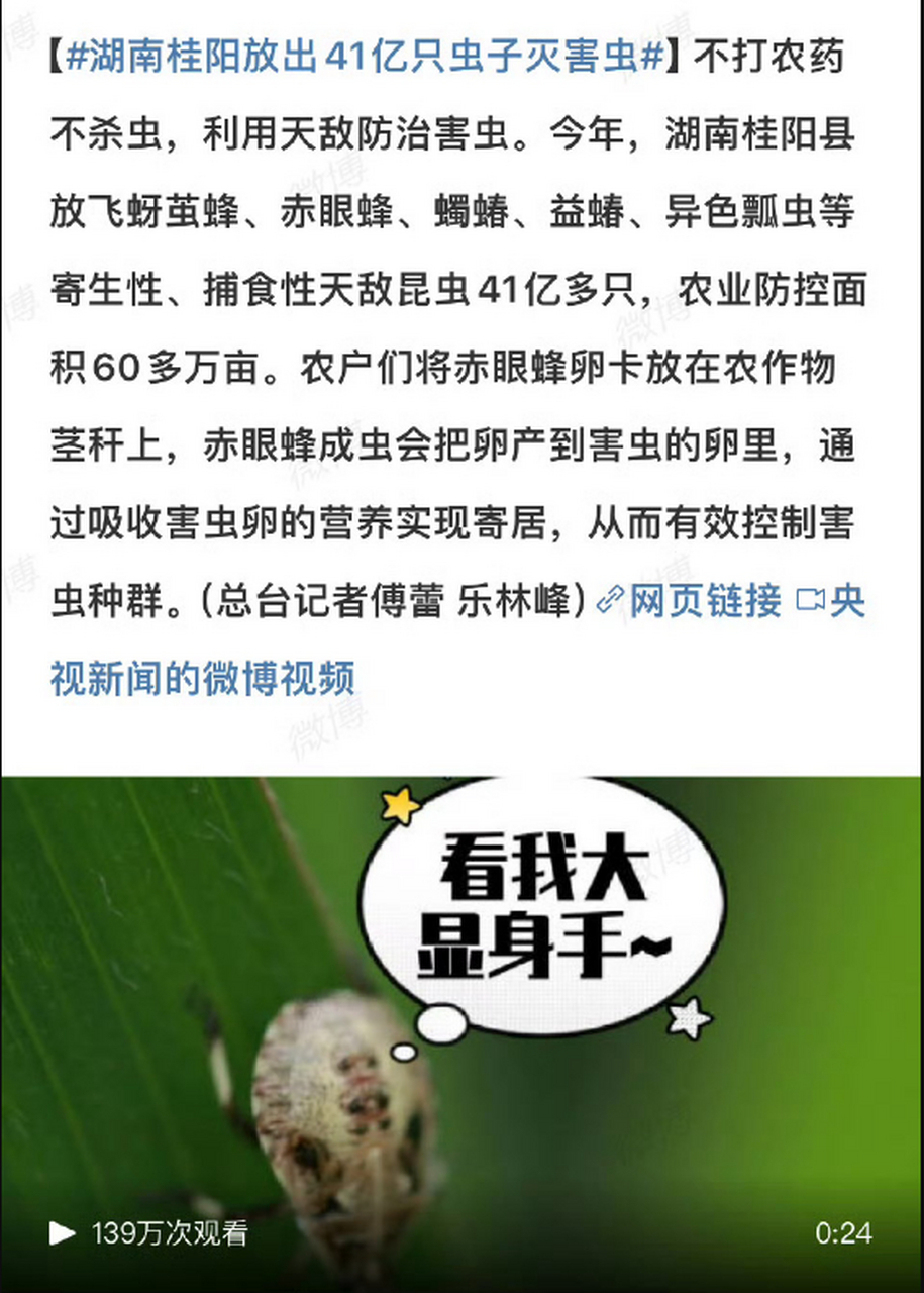 涨知识辣,利用天然的生物链现象"以虫治虫" 减少绿色污染,实现绿色