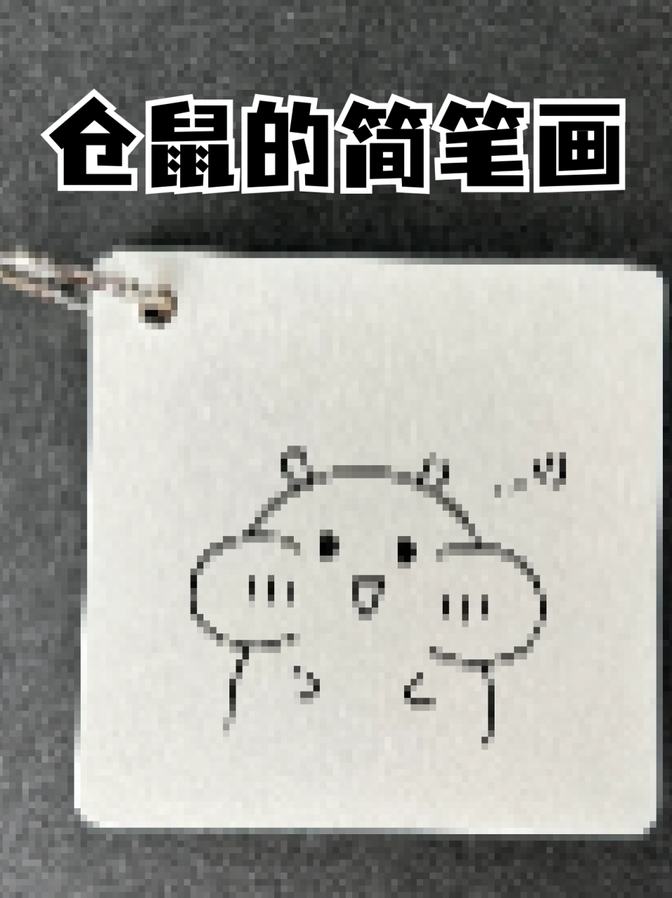 仓鼠的简笔画 99仓鼠吃东西的时候真的好可爱呀,78嘴巴鼓鼓囊囊的