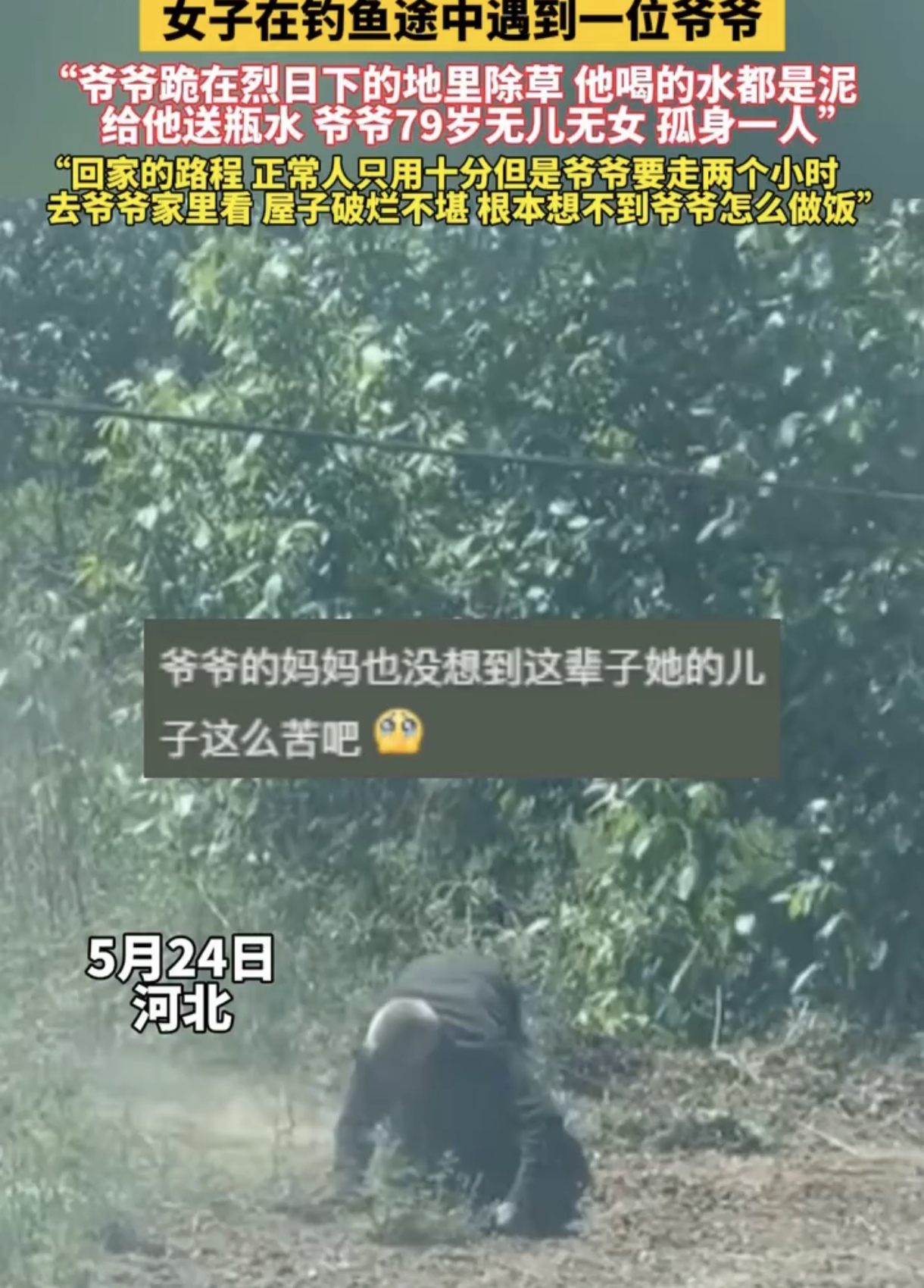那爷爷正跪在炎炎烈日下的地里辛苦除草,而他喝的水竟都是浑浊的泥水.