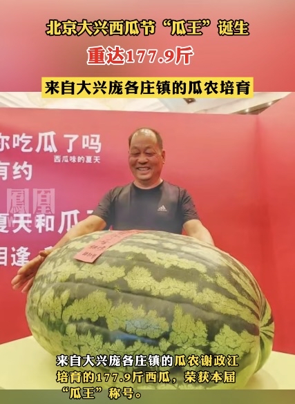第36届北京大兴西瓜节,"瓜王"诞生,是来自大兴庞各庄镇的瓜农谢政江