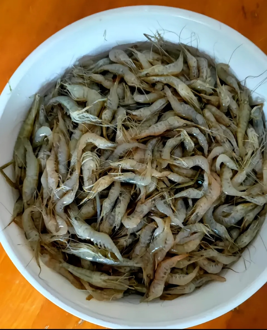 这壳怎么剥,怎么去虾线?真不知道怎么个吃法? 67