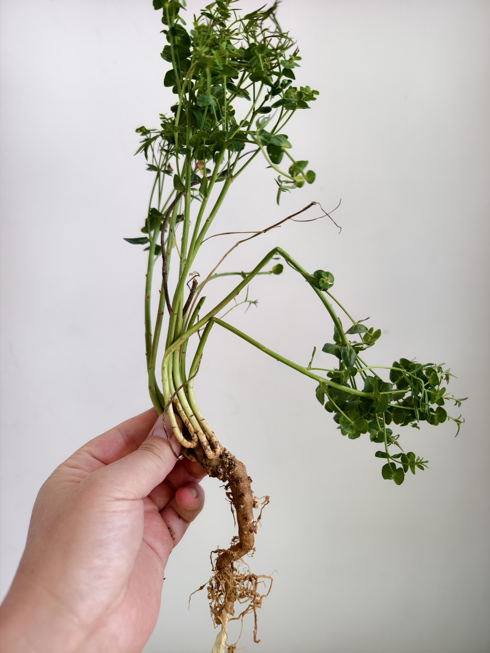 第三种有认识的吗?