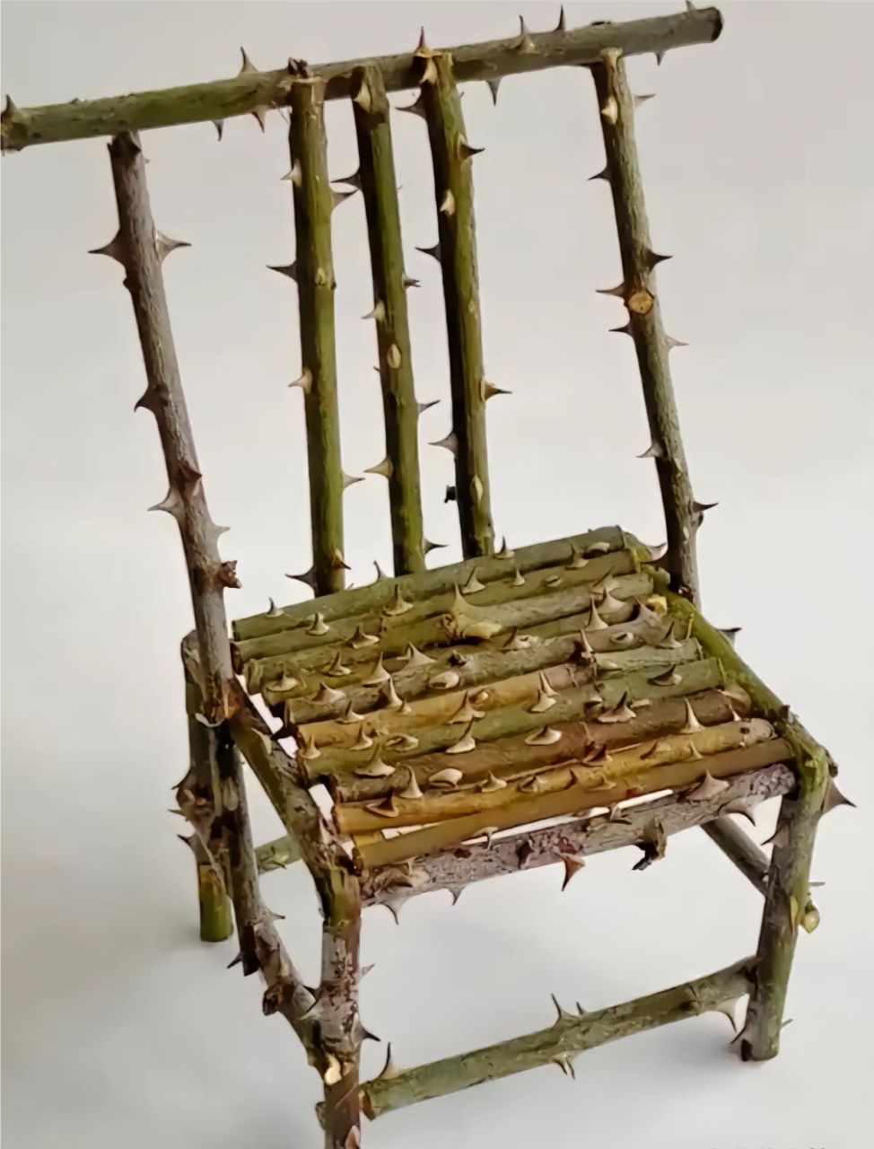 真是长见识了, 居然有人能设计出这么独特的椅子,就是艺术品中的奇葩