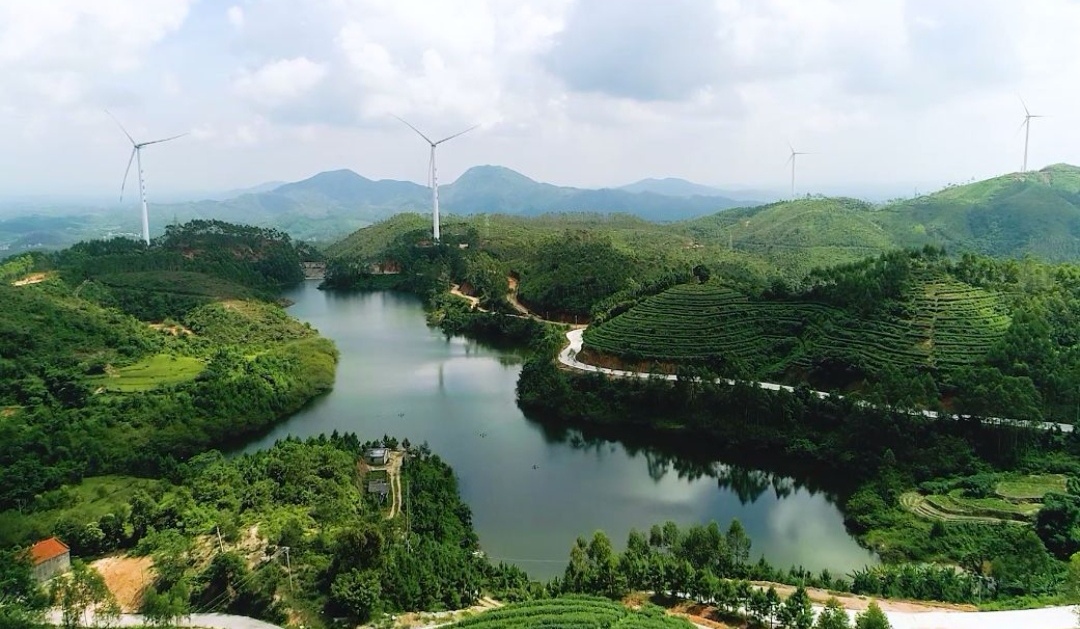 「收藏」廉江市青平镇好玩的地方