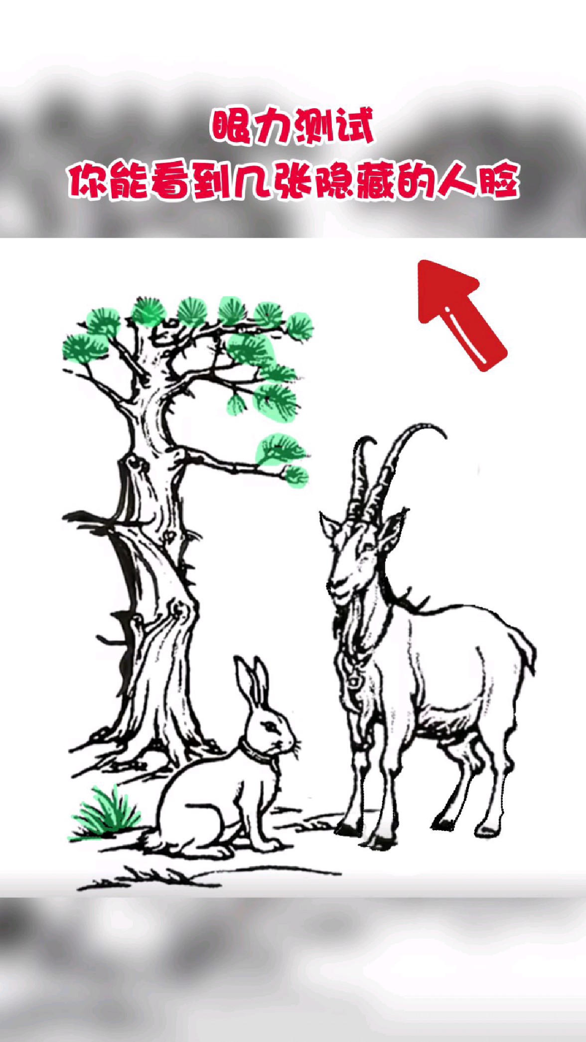 眼力测试:你能从图中看到几张隐藏的人脸呢?