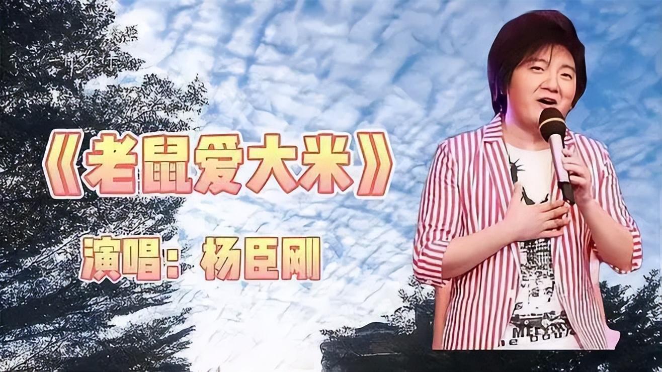 杨臣刚——《老鼠爱大米》