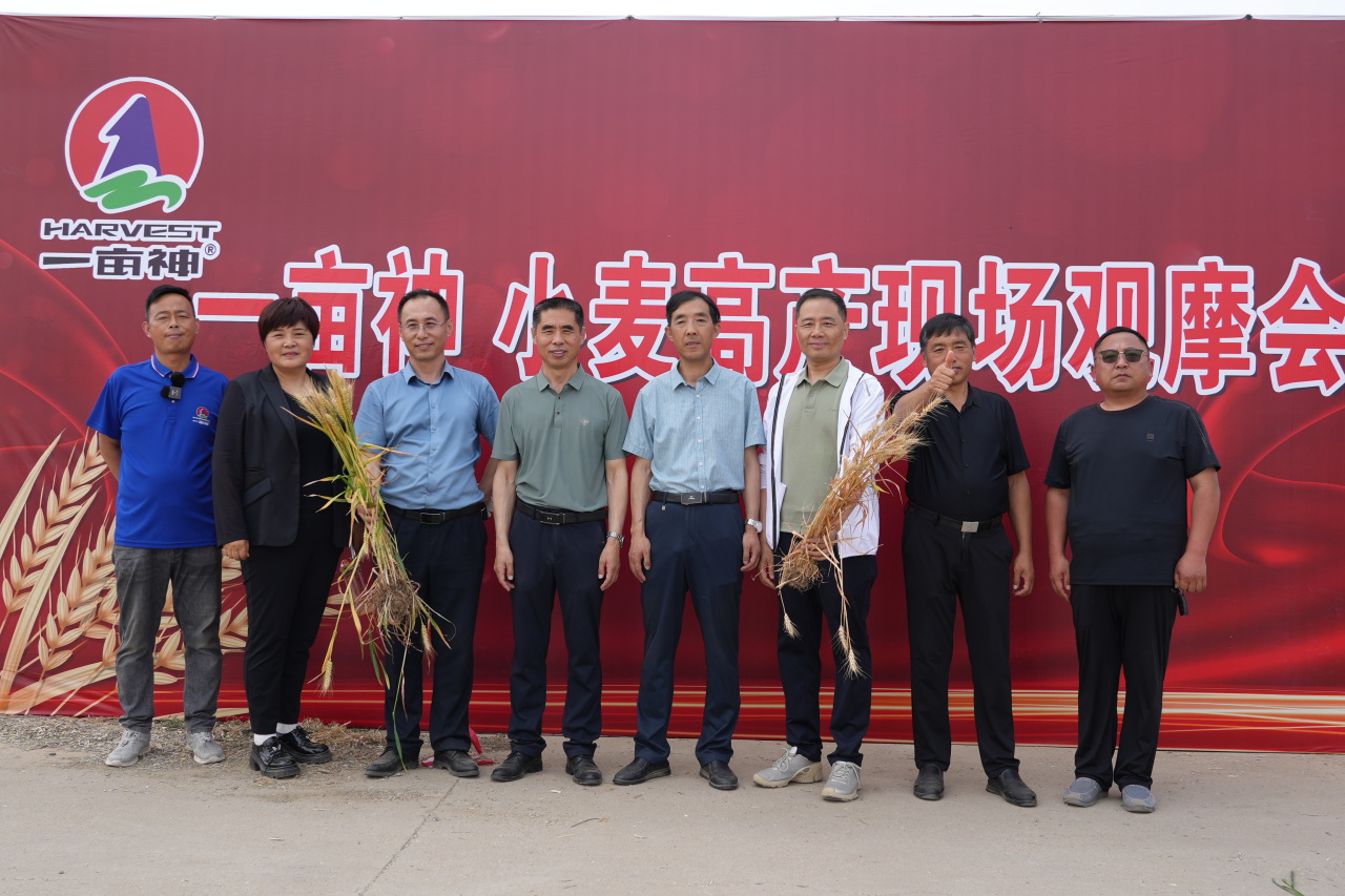 一亩神小麦高产现场观摩会成功举办
