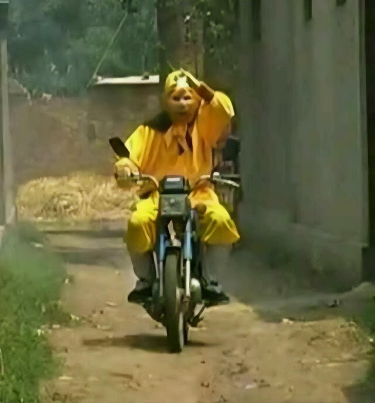 演员休息时都在干嘛?第一张我忍住了,杨紫这张我可以笑一整天