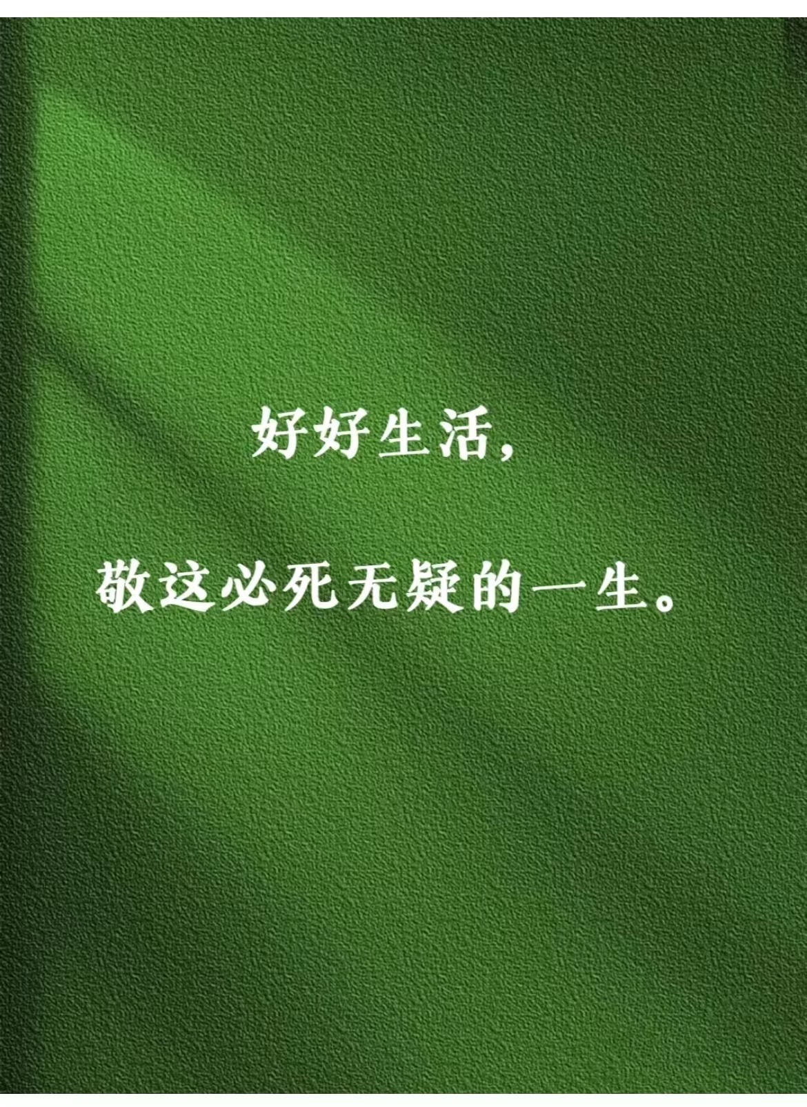 好好生活,敬这必死无疑的一生