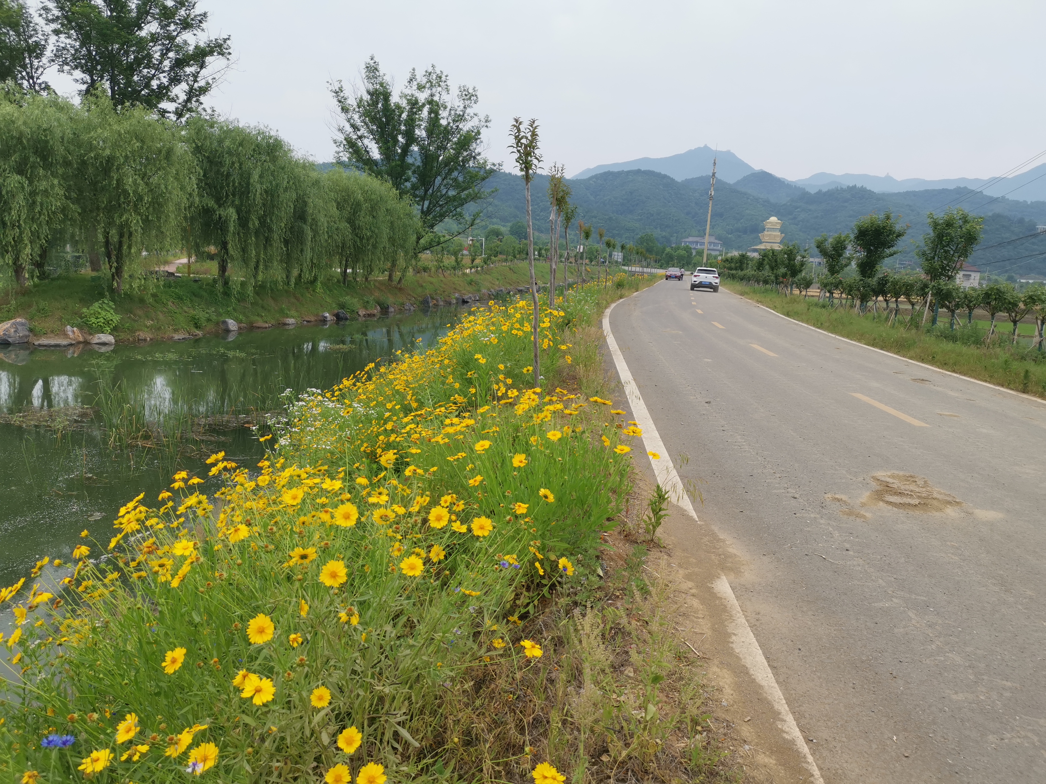 大洪山户外公园图片