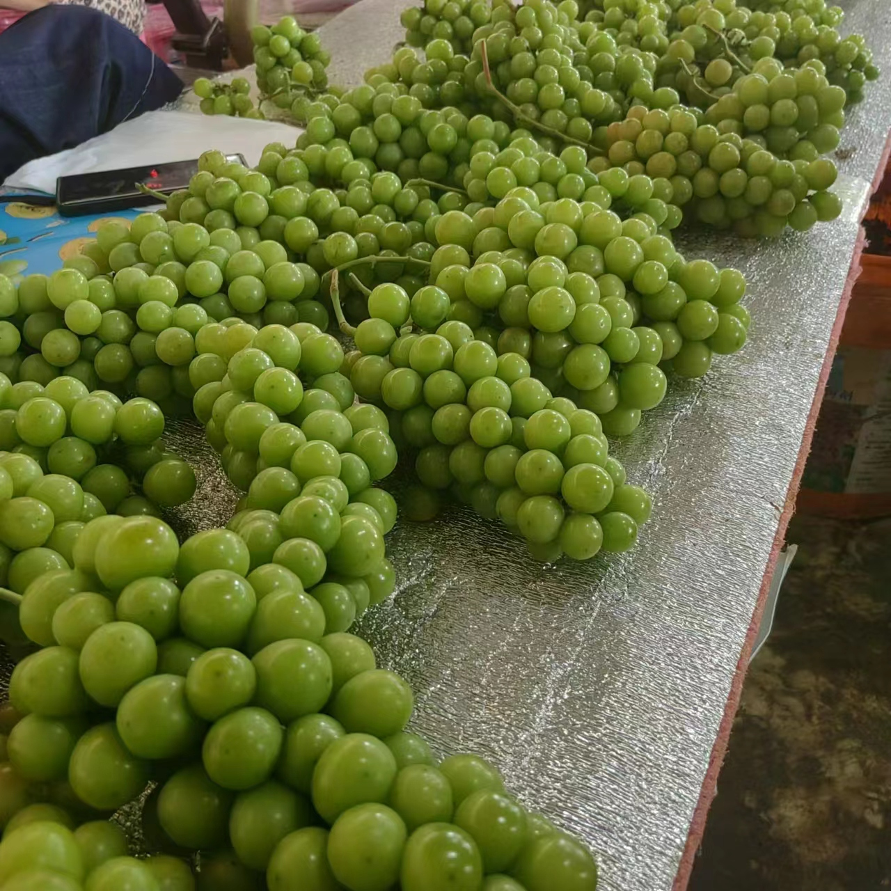 香印青提  ‼️特点:甜度很好,香味很足,新鲜度,硬度,完美,小颗粒