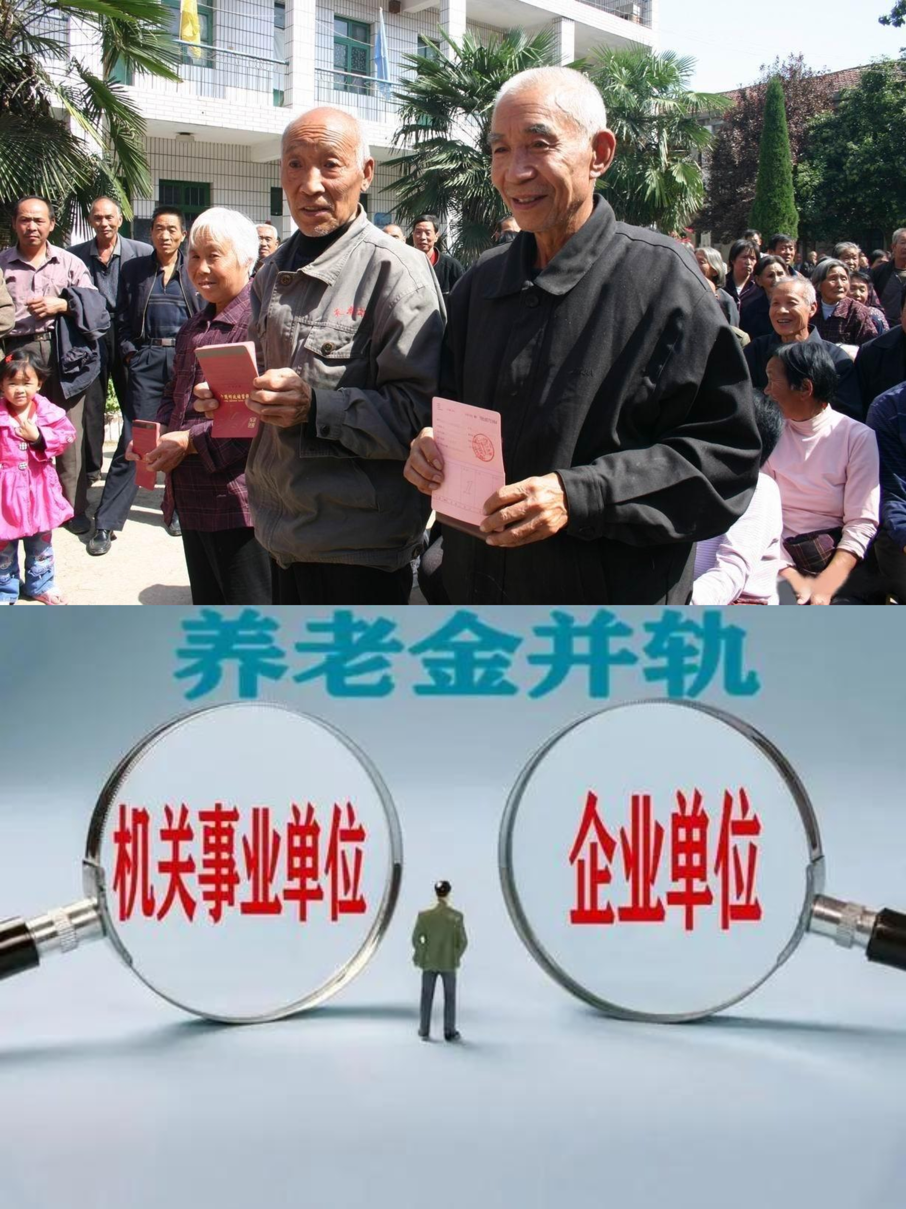 今日新鲜事养老金养老交费(今日新鲜事养老保险在哪里查)