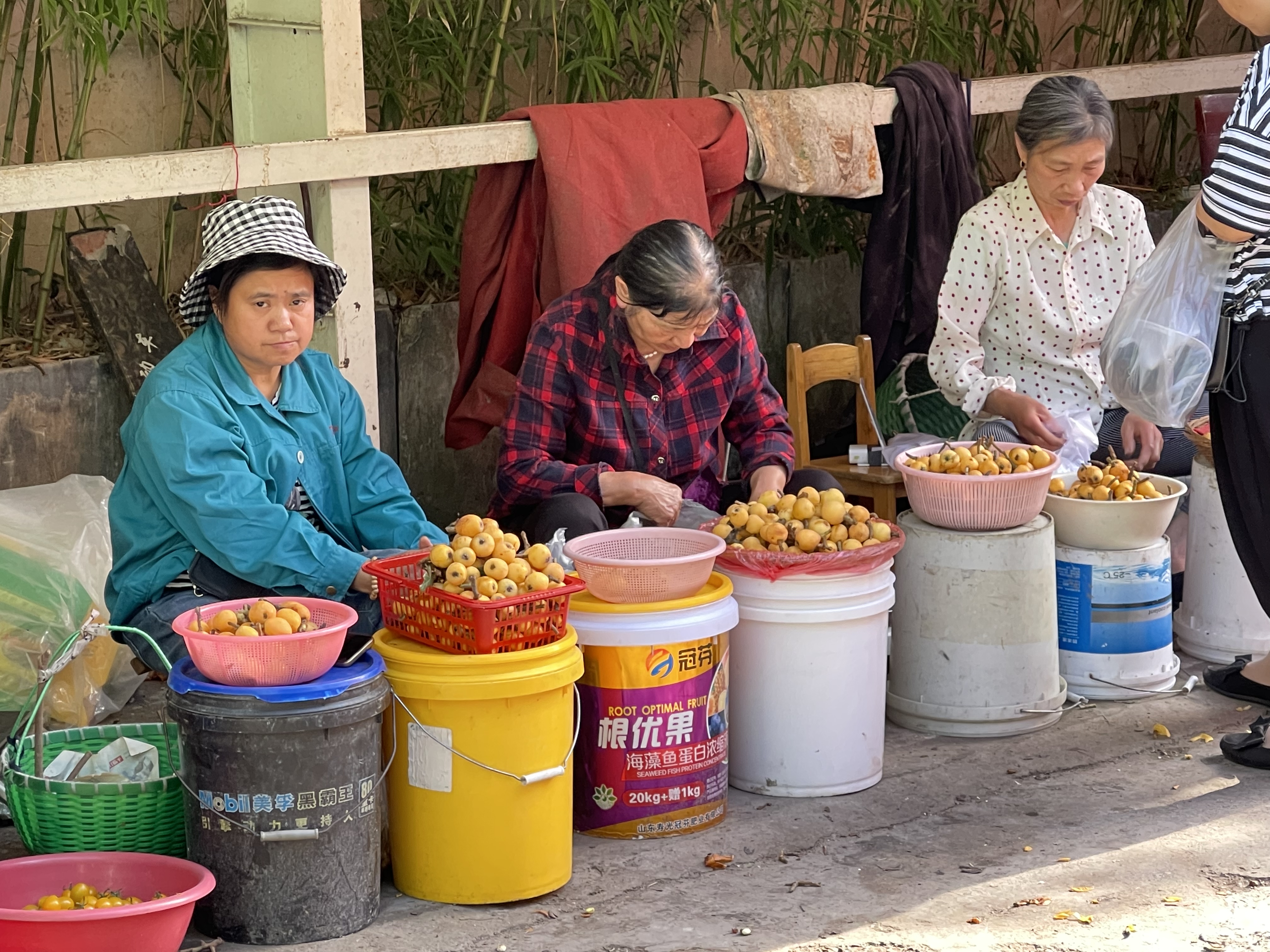 今年杭州塘栖枇杷的产量是真的高.