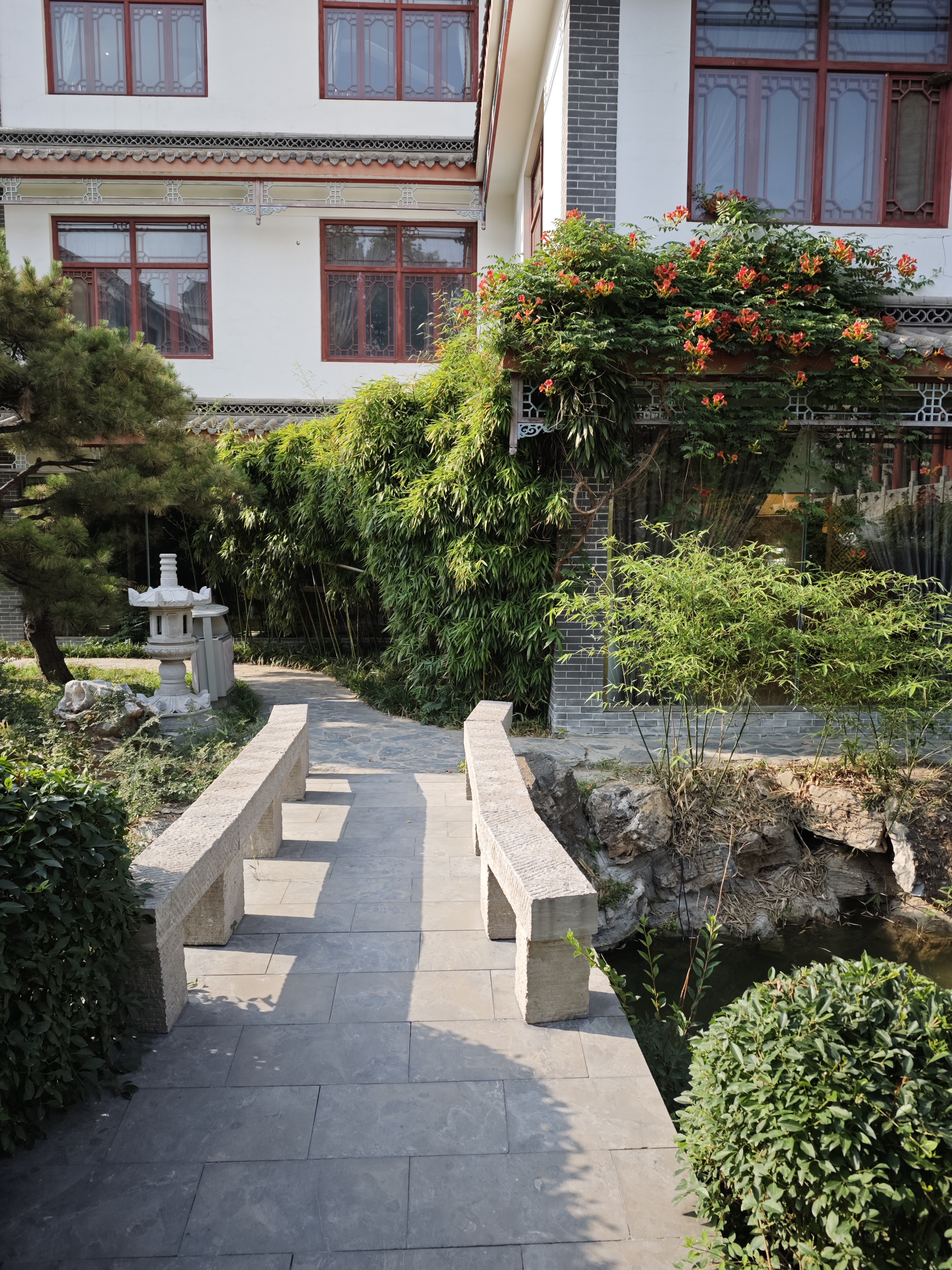 随着年轮的转动,我们越发感受到孤独的重量