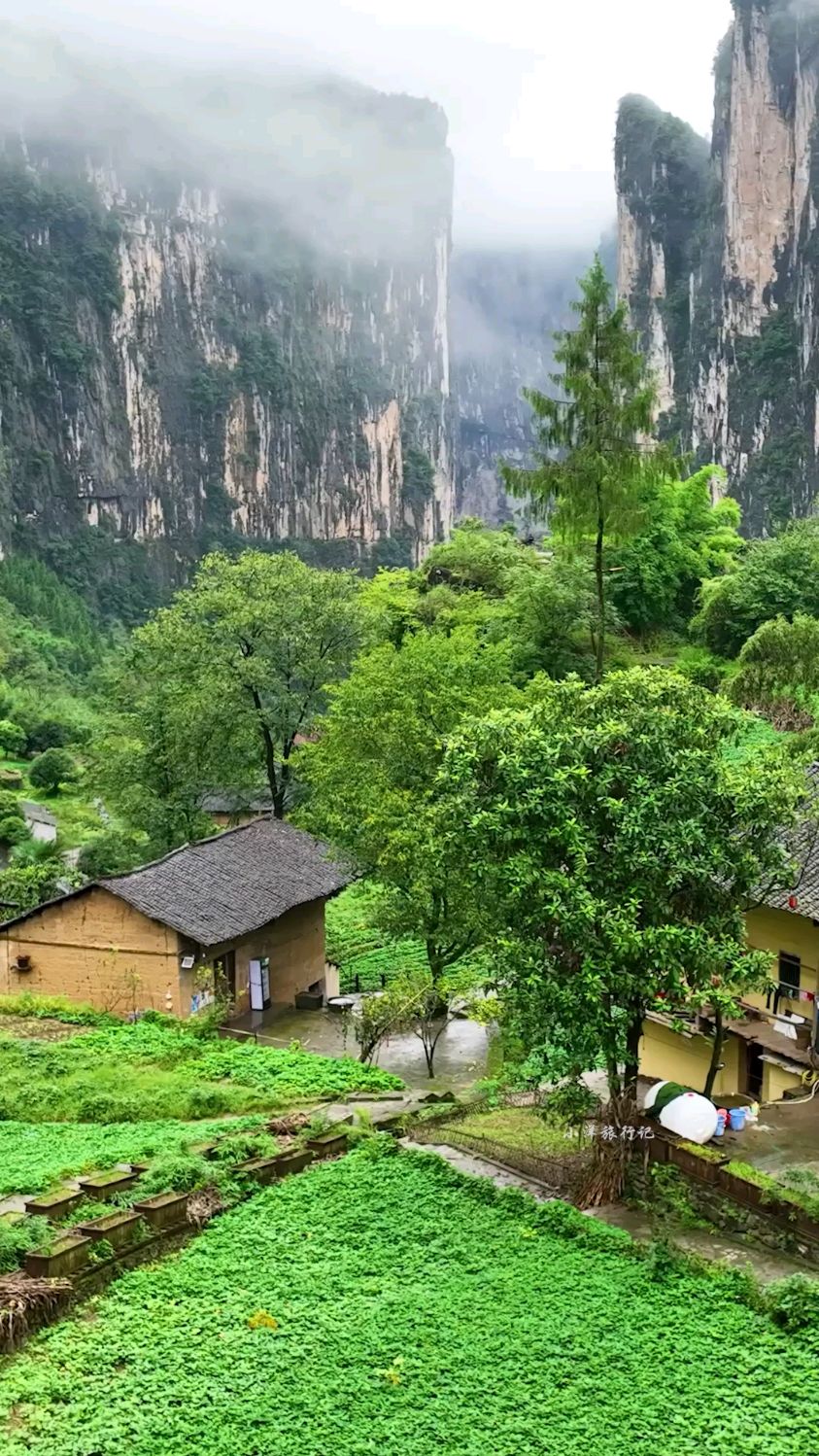 待我了无牵挂,从此归隐天涯,深山老屋为家,远离都市繁华,忙时修篱种花