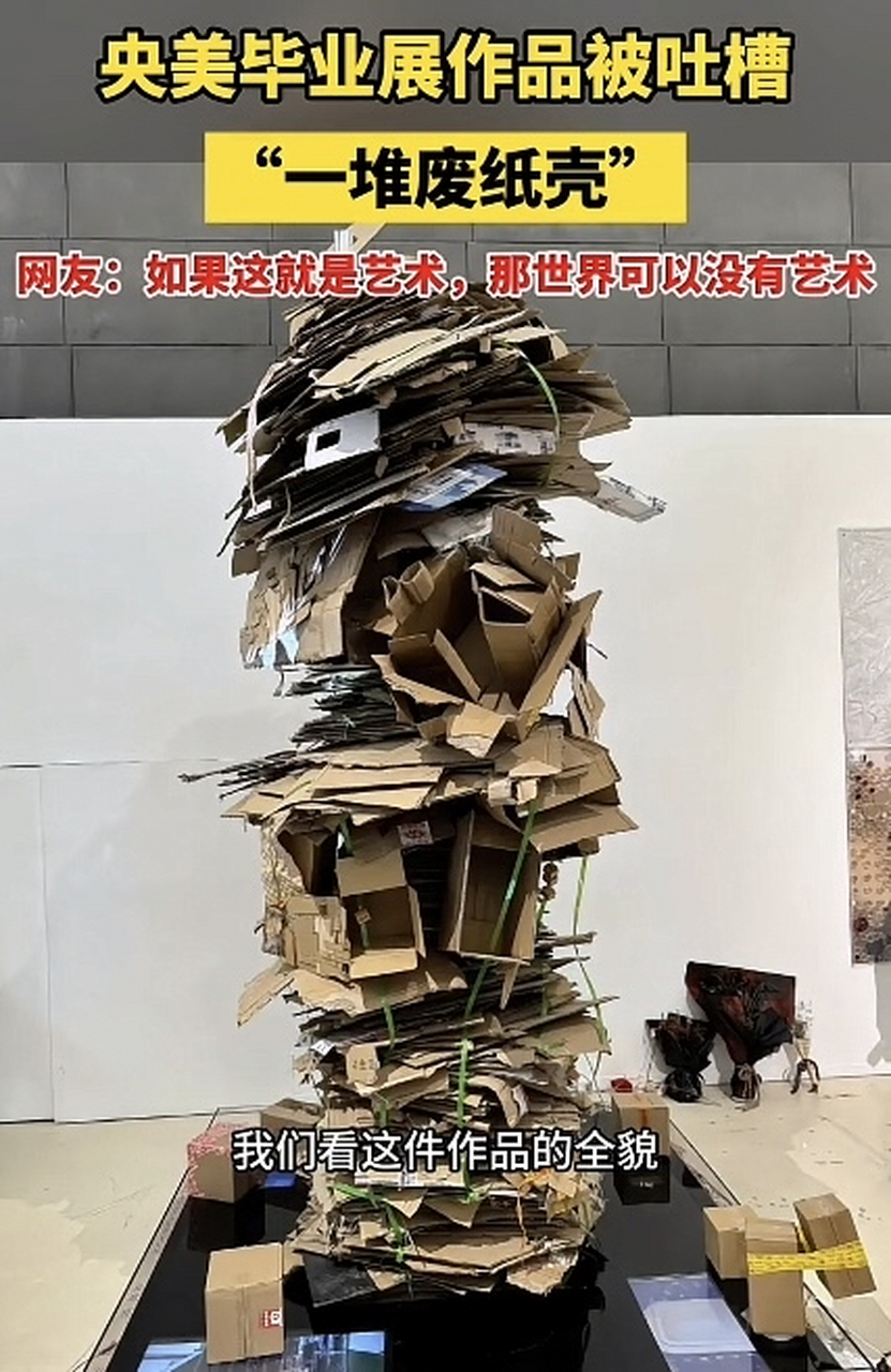 一个以废旧纸盒子为主要材料构建的艺术品成为了公众讨论的焦点