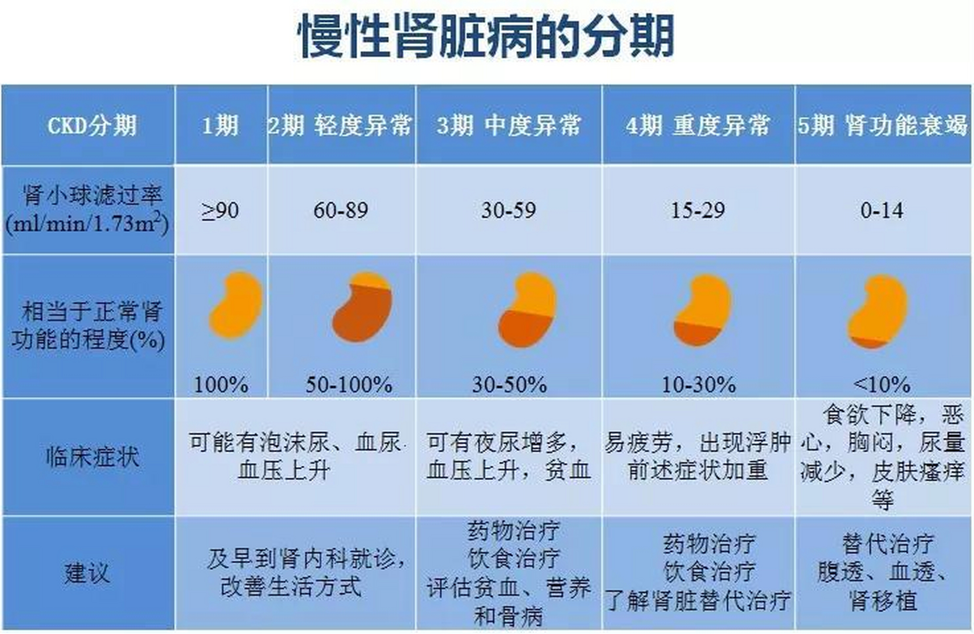 慢性肾脏病发病率图片