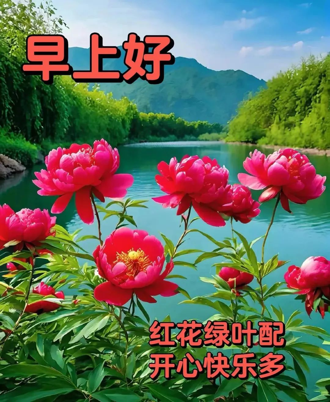 夏天清晨传递温暖的早上好问候语,新版非常好看的早安祝福图片