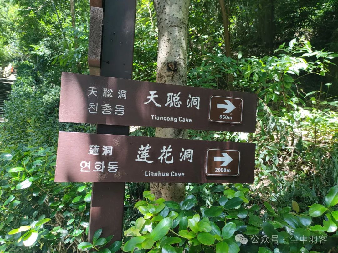 2023年9月10日前言:雁荡山莲花洞位于号称"明庭"的灵岩景区内,是我