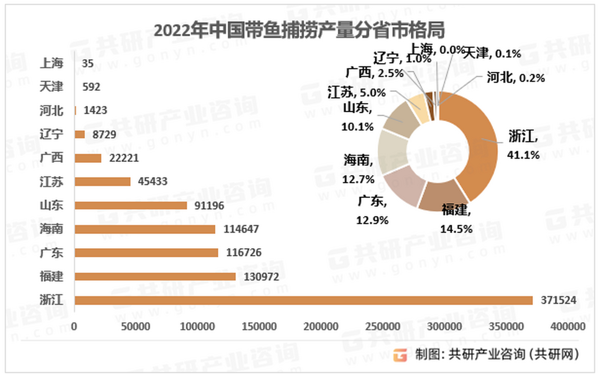 带鱼身体构造图图片