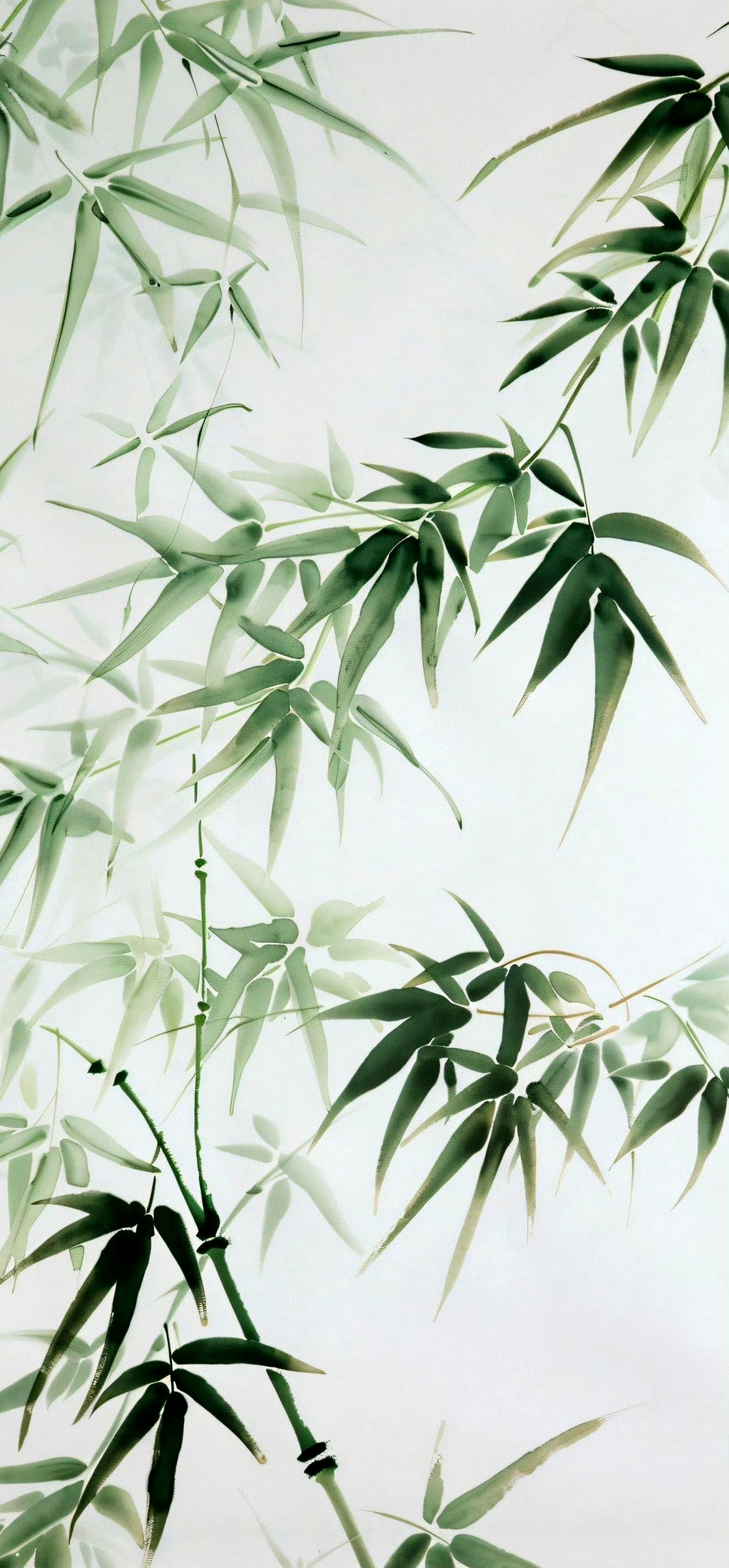 分享一组竹叶绘画作品,用青翠的绿色与工整的笔法描绘