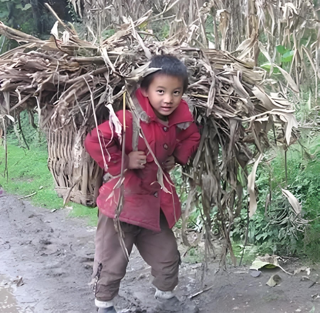 穷孩子:生活重压下的挣扎与成长