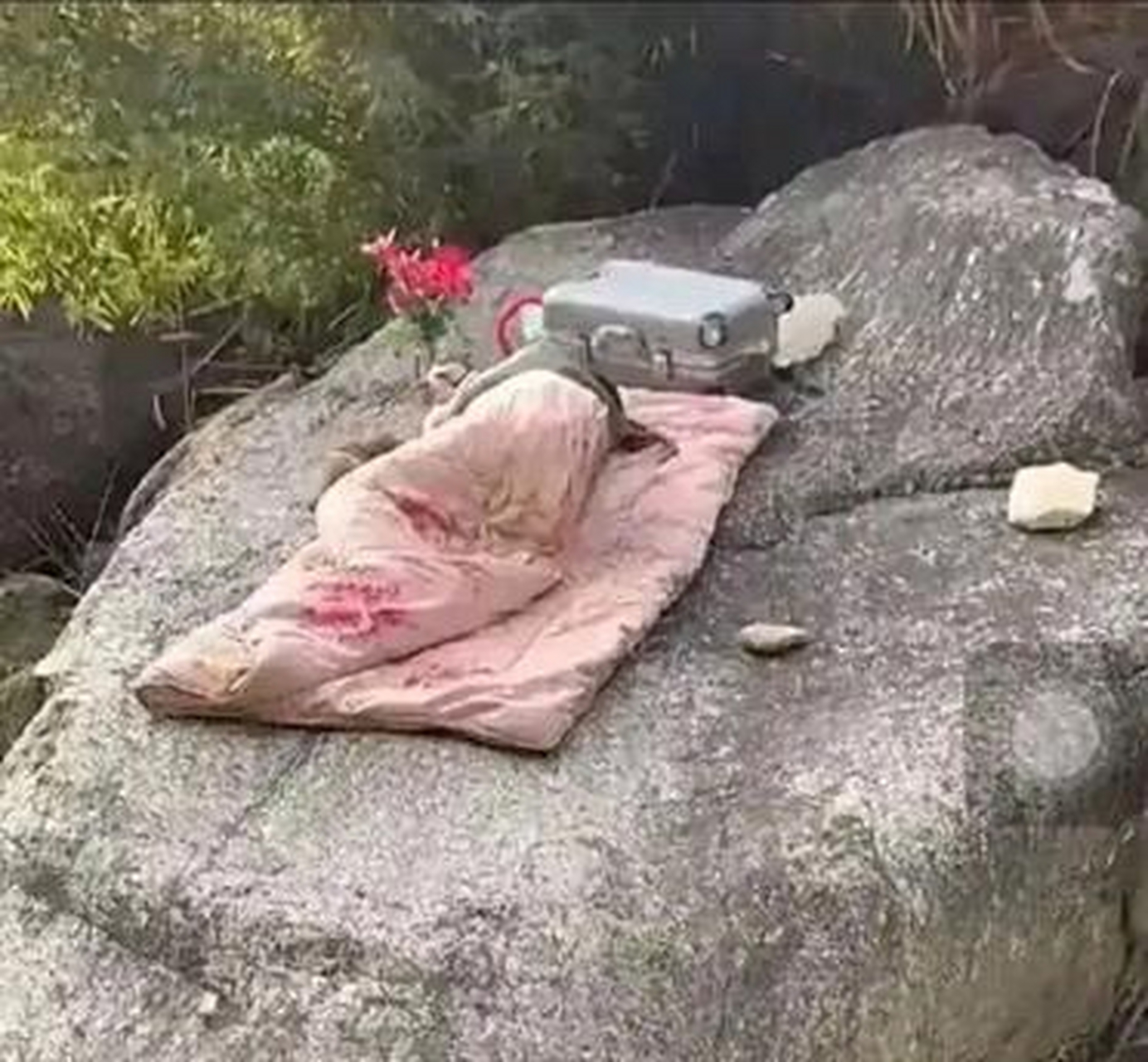 有位美女和她的小狗狗,在露天的大石头上呼呼睡大觉,大石头成了她们