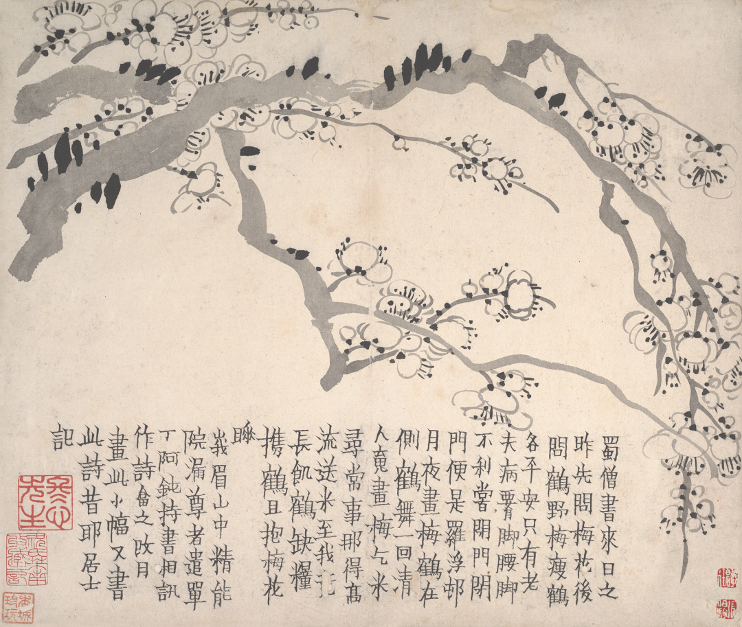 画苑掇英 · 金农梅花册两种