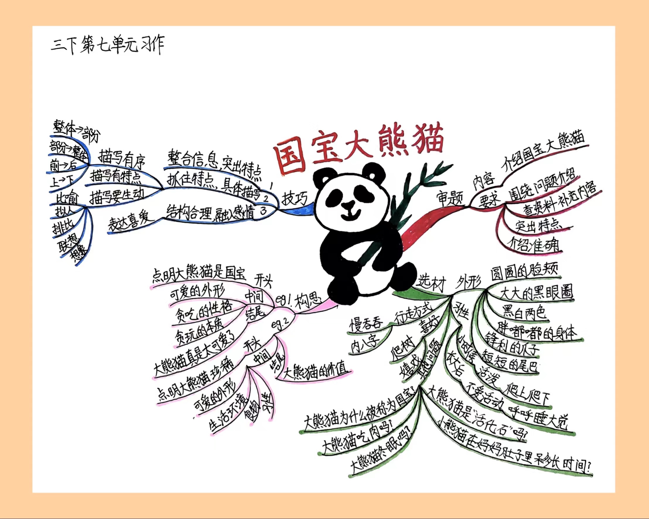 部编版三年级下册第七单元习作《国宝大熊猫》指导 范文
