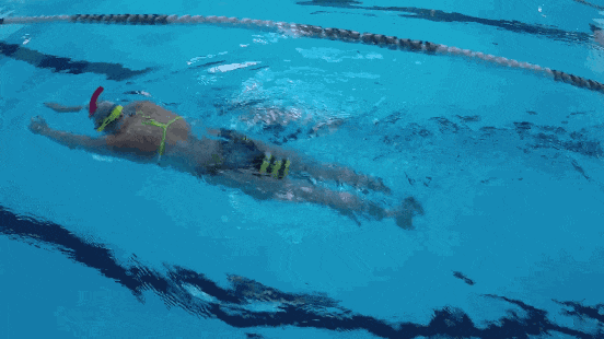 学蛙泳需要勤做这项练习