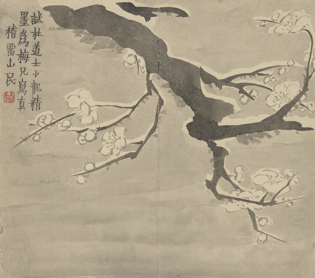 纽约大都会艺术博物馆藏金农《梅花册》