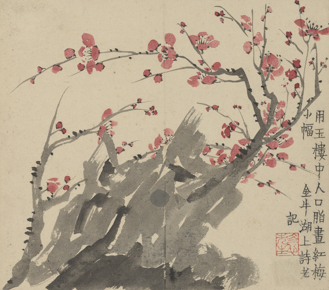 纽约大都会艺术博物馆藏金农《梅花册》