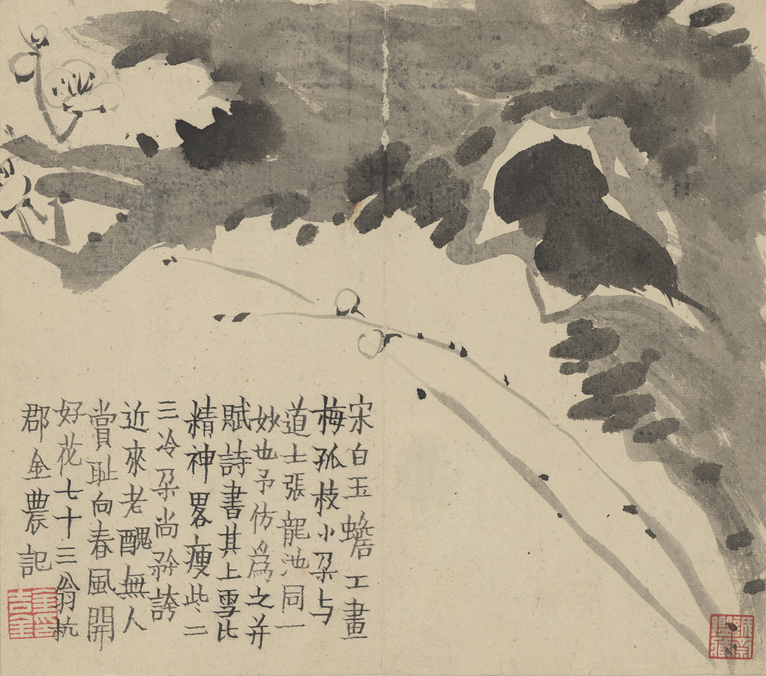 纽约大都会艺术博物馆藏金农《梅花册》