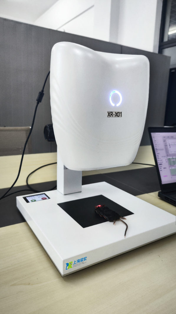 突破科技边界,脑声常谈近红外成像仪发布 引领小动物血流研究