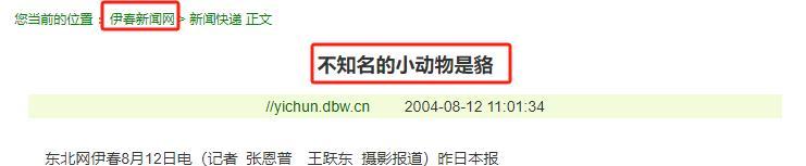 2004年8月,黑龙江伊春发现毛狗子,躲进居民衣柜,凶猛地露出尖牙利爪