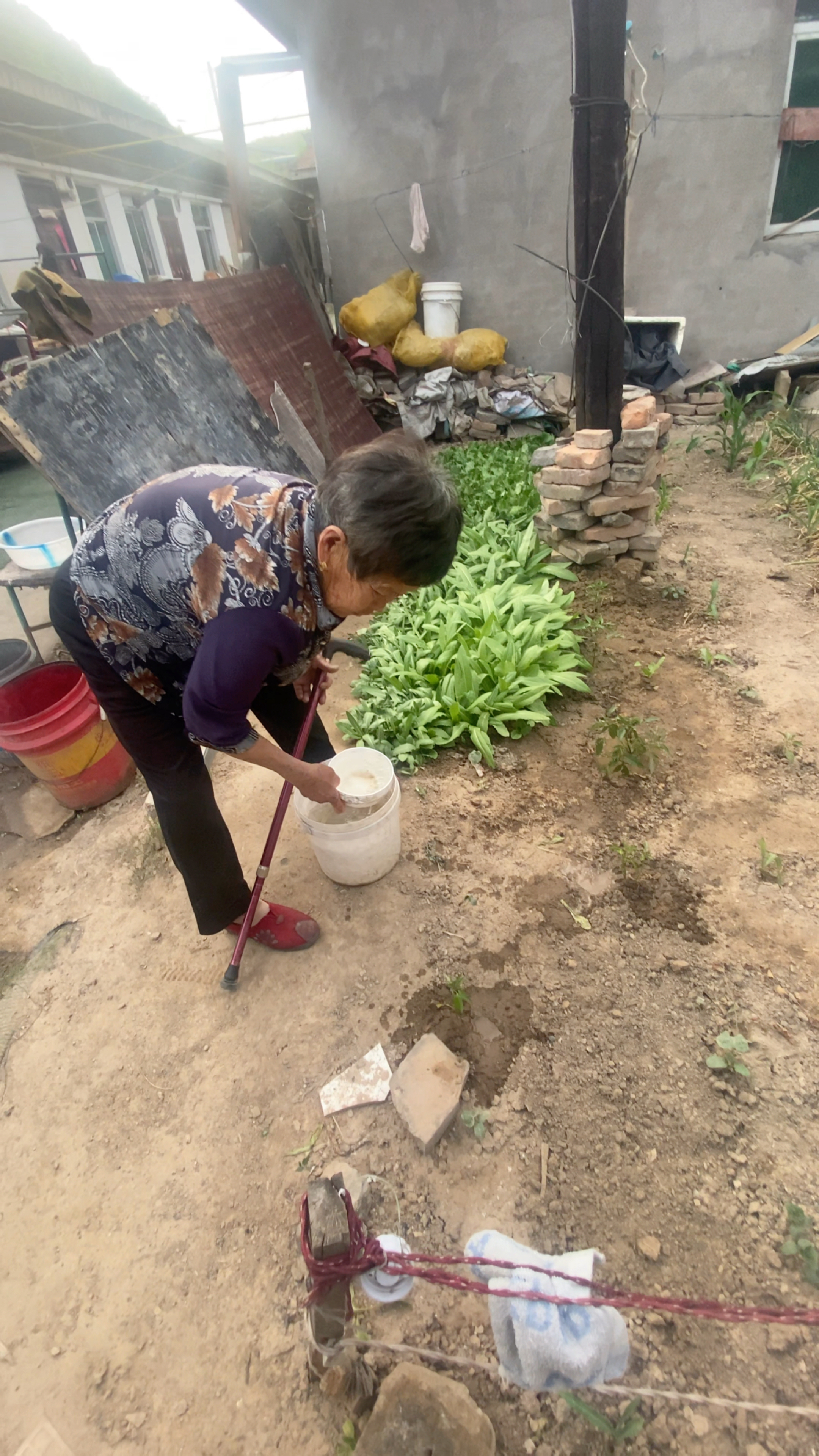 80多的老妈妈,还是不肯歇下来,勤劳了一辈子,也受苦了一辈子