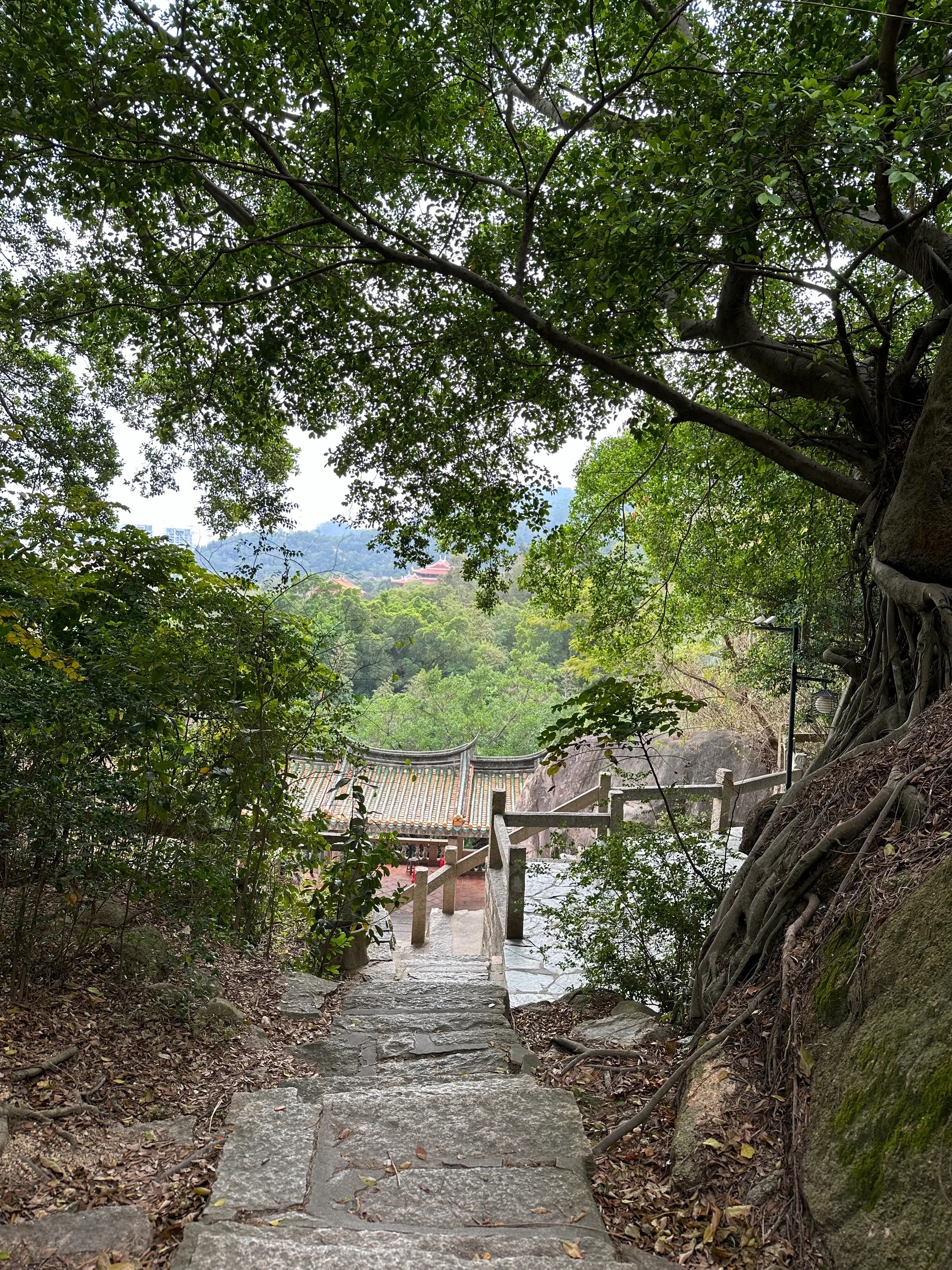 晋江草庵寺简介图片