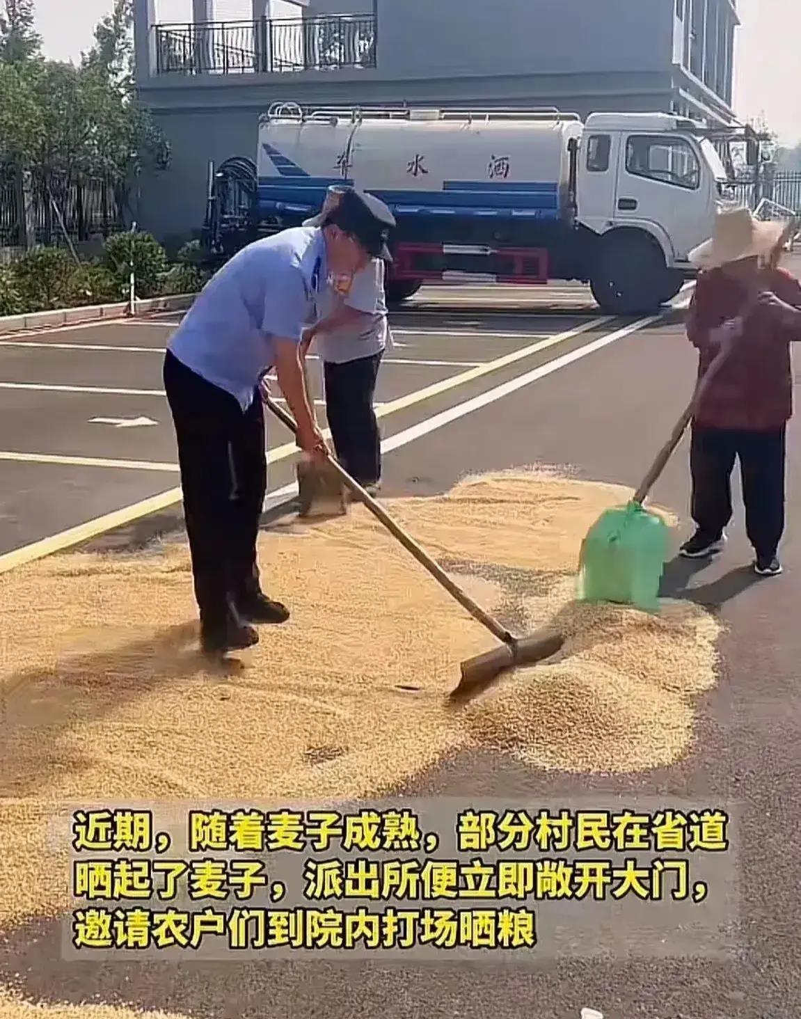这个派出所火了!"院子嘎嘎大,欢迎来晒粮"警察帮收粮头一次见
