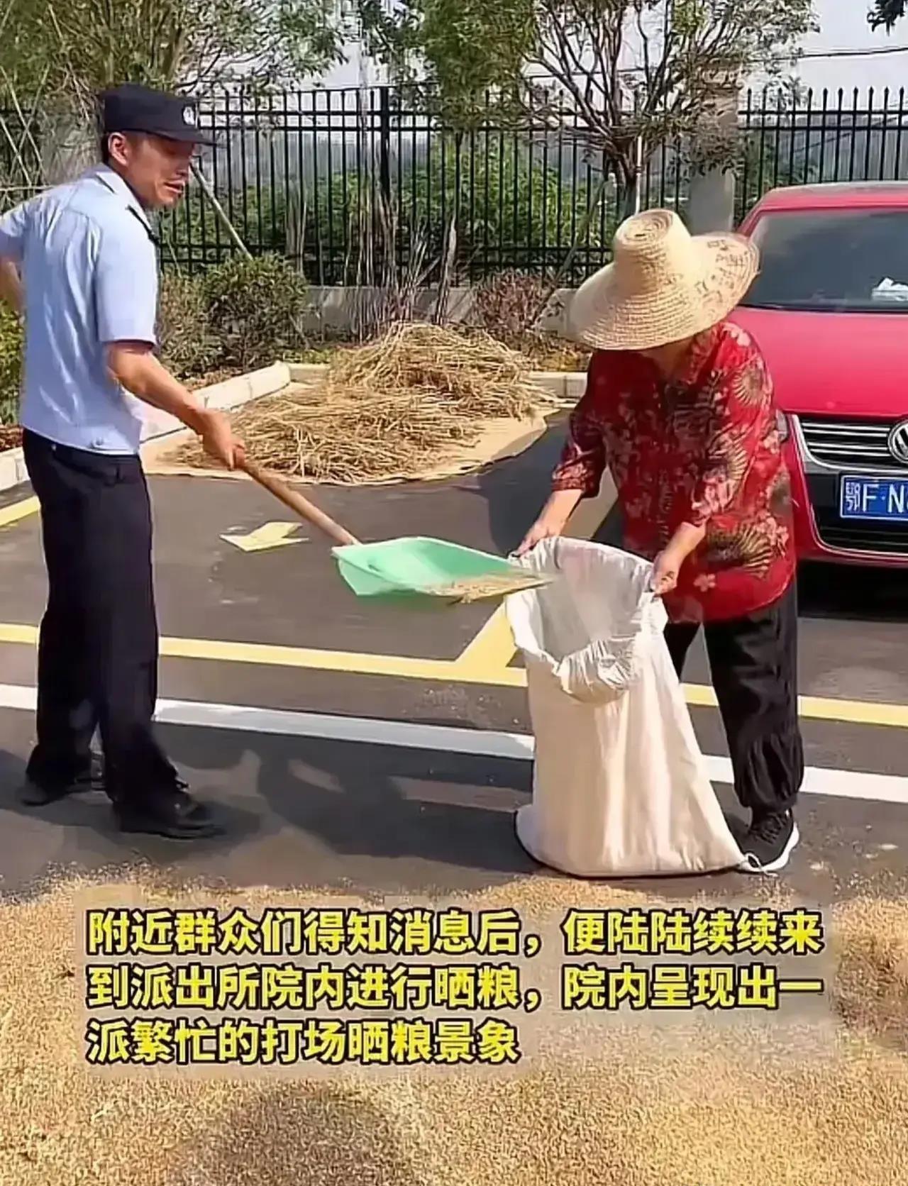 这个派出所火了!"院子嘎嘎大,欢迎来晒粮"警察帮收粮头一次见