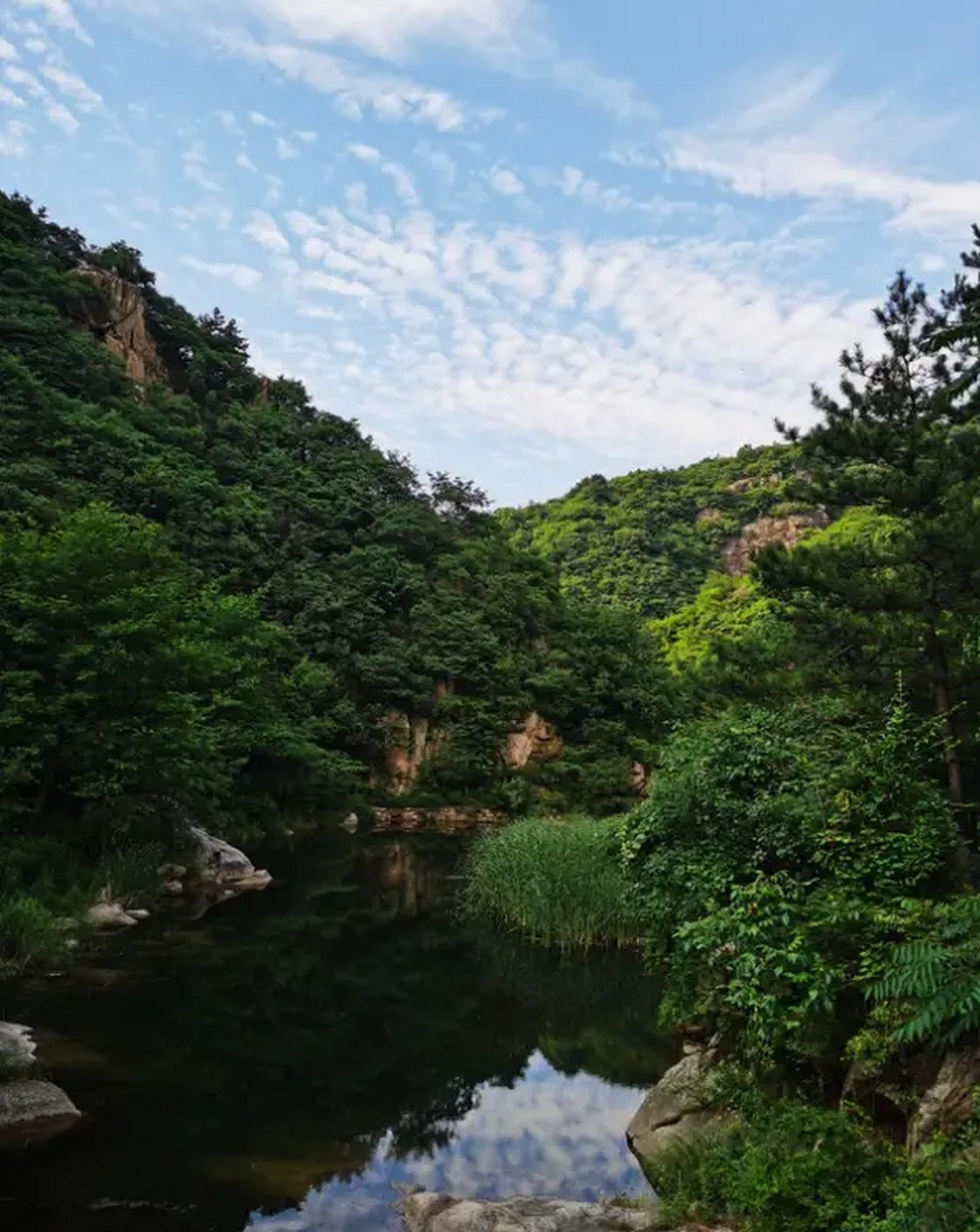 嵩县卧龙谷景区图片图片