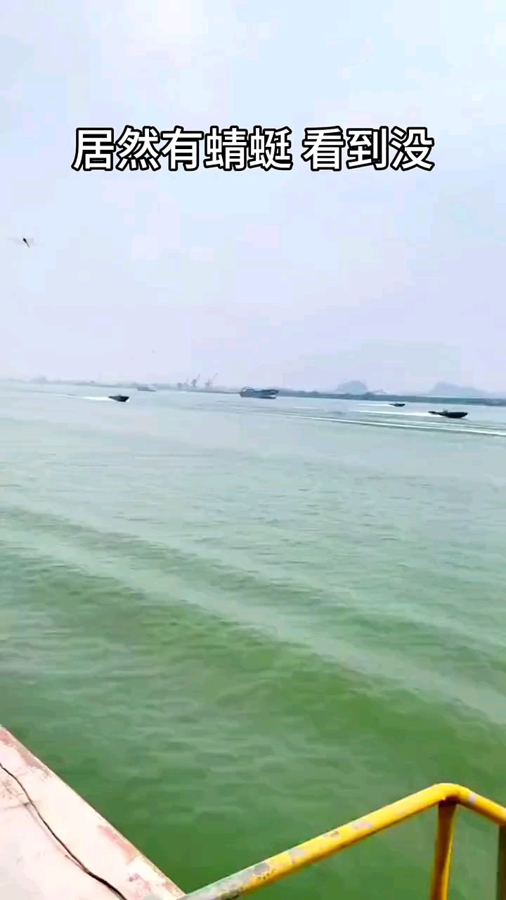 我想海风也可以吹走所有烦恼