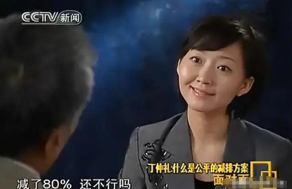 知名主持人柴静:从移民海外到抨击中国,她究竟经历了什么?