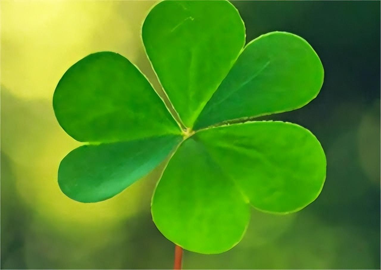 我将就着和她过了二十年,发达后立刻和她离,看她再婚幸福我酸了