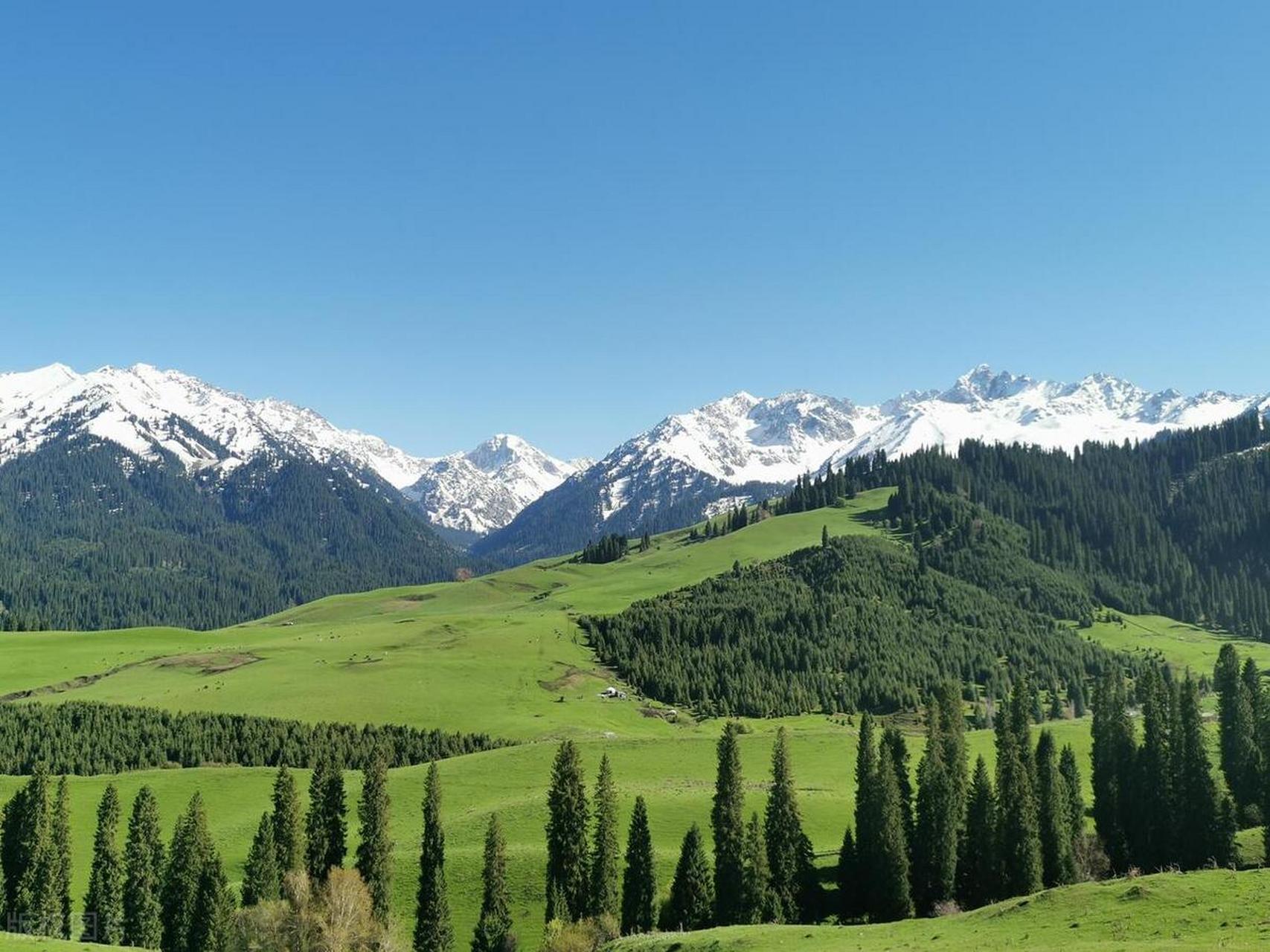 第九天 特克斯县城-喀拉峻草原- 库尔德宁,晚住库尔德宁